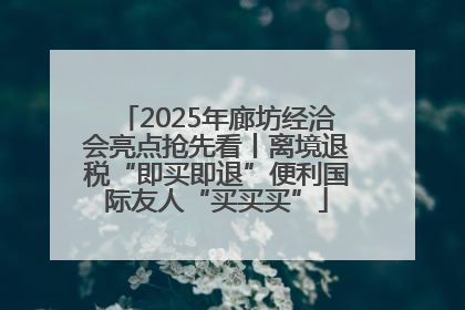 2025年廊坊经洽会亮点抢先看丨离境退税“即买即退”便利国际友人“买买买”
