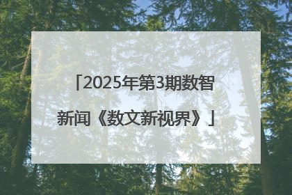 2025年第3期数智新闻《数文新视界》