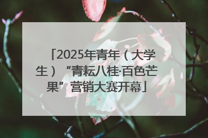 2025年青年（大学生）“青耘八桂·百色芒果”营销大赛开幕