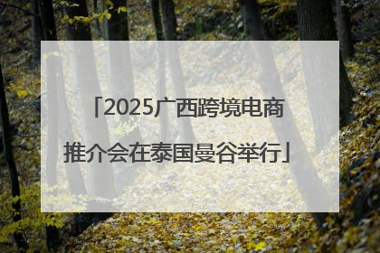2025广西跨境电商推介会在泰国曼谷举行