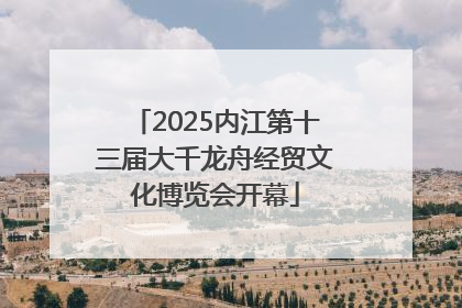 2025内江第十三届大千龙舟经贸文化博览会开幕