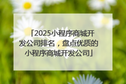 2025小程序商城开发公司排名，盘点优质的小程序商城开发公司