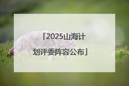 2025山海计划评委阵容公布