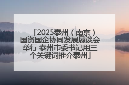 2025泰州（南京）国资国企协同发展恳谈会举行 泰州市委书记用三个关键词推介泰州