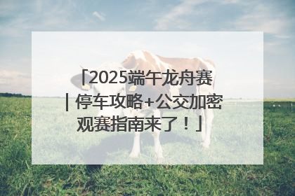 2025端午龙舟赛｜停车攻略+公交加密 观赛指南来了！