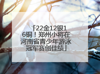 22金12银16铜！郑州小将在河南省青少年游泳冠军赛创佳绩