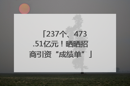 237个、473.51亿元！晒晒招商引资“成绩单”