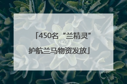 450名“兰精灵”护航兰马物资发放