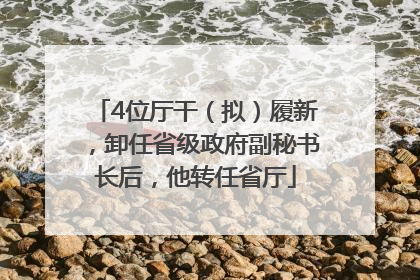 4位厅干（拟）履新，卸任省级政府副秘书长后，他转任省厅