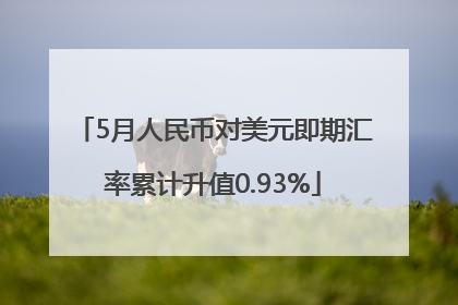 5月人民币对美元即期汇率累计升值0.93%