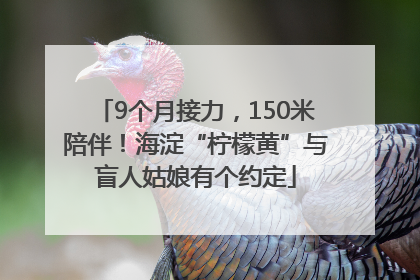 9个月接力，150米陪伴！海淀“柠檬黄”与盲人姑娘有个约定