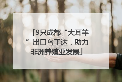 9只成都“大耳羊”出口乌干达，助力非洲养殖业发展