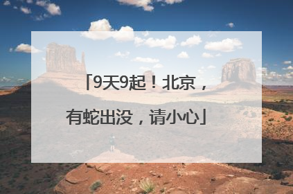 9天9起！北京，有蛇出没，请小心