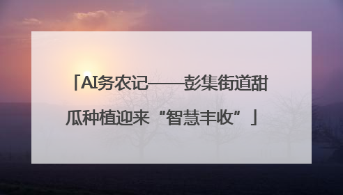 AI务农记——彭集街道甜瓜种植迎来“智慧丰收”