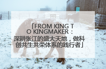FROM KING TO KINGMAKER：深耕张江的盛大天地，做科创共生共荣体系的践行者